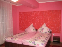 Pensiunea Alex - accommodation in  Apuseni Mountains, Belis (22)