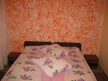 Pensiunea Alex - accommodation in  Apuseni Mountains, Belis (23)