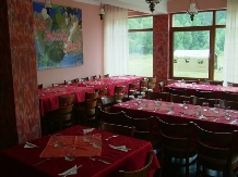 Pensiunea Alex - accommodation in  Apuseni Mountains, Belis (29)