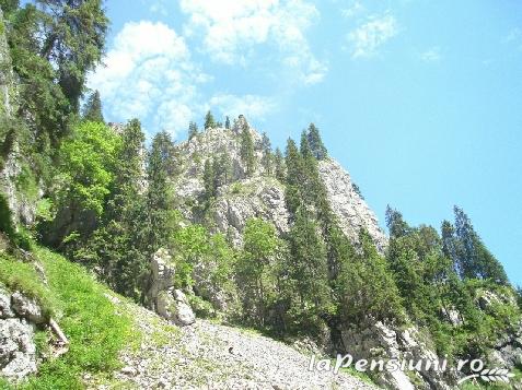 Pensiunea Alex - accommodation in  Apuseni Mountains, Belis (Surrounding)