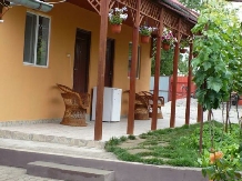 Pensiune Casa Boby Murighiol - accommodation in  Danube Delta (17)