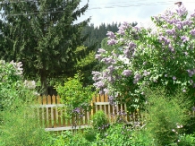 Pensiunea Iulia - alloggio in  Vatra Dornei, Bucovina (03)