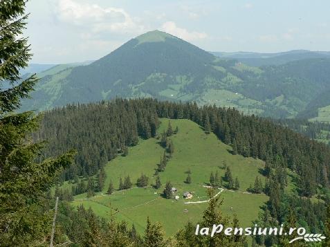 Pensiunea Iulia - alloggio in  Vatra Dornei, Bucovina (Attivit&agrave; e i dintorni)