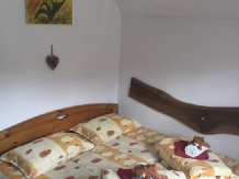 Cabana Ursu - accommodation in  Maramures Country (10)