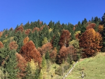 Cabana Ursu - alloggio in  Tara Maramuresului (15)