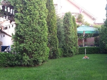 Pensiunea Nella - accommodation in  Baile Felix (06)