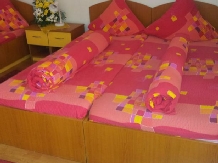 Pensiunea Nella - accommodation in  Baile Felix (10)