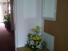 Pensiunea Nella - accommodation in  Baile Felix (14)
