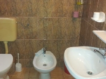 Pensiunea Nella - accommodation in  Baile Felix (15)