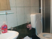 Pensiunea Nella - accommodation in  Baile Felix (16)