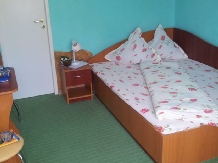 Pensiunea Nella - accommodation in  Baile Felix (20)