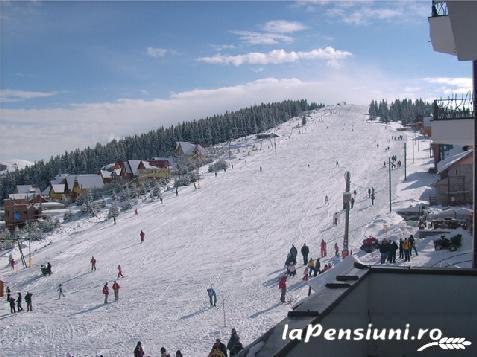 Pensiunea Maria - alloggio in  Nord Oltenia, Transalpina (Attivit&agrave; e i dintorni)