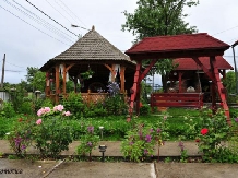 Pensiunea Irina - accommodation in  Maramures Country (08)
