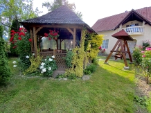 Pensiunea Irina - accommodation in  Maramures Country (18)