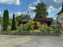 Pensiunea Irina - accommodation in  Maramures Country (22)