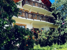 Pensiunea Irina - alloggio in  Tara Maramuresului (48)