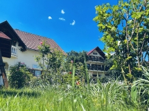 Pensiunea Irina - accommodation in  Maramures Country (52)