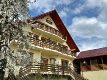 Pensiunea Irina - accommodation in  Maramures Country (60)