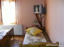 Pensiunea Fratii Pasca - accommodation in  Maramures Country (11)