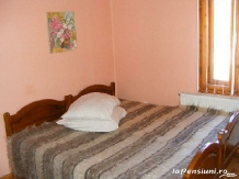 Pensiunea Fratii Pasca - accommodation in  Maramures Country (16)