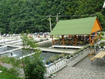 Complex Lostrita - accommodation in  Maramures Country (07)