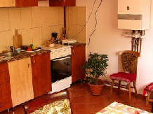 Pensiunea Vladut - accommodation in  Rucar - Bran, Piatra Craiului, Rasnov (11)