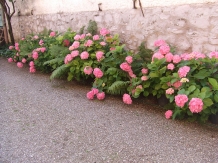 Pensiunea Renata - alloggio in  Vallata di Brasov (14)