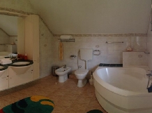 Casa Vanatorului - accommodation in  Sighisoara (10)