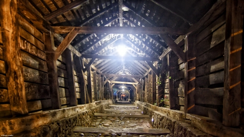 Casa Vanatorului - cazare Sighisoara (Activitati si imprejurimi) Casa Vanatorului - cazare Sighisoara (Activitati si imprejurimi)