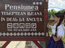 Rural accommodation at  Pensiunea in deal la Ancuta