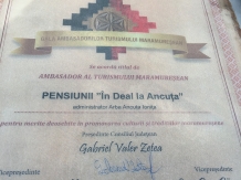 Pensiunea in deal la Ancuta - alloggio in  Tara Maramuresului (05)