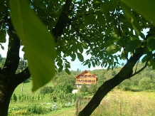 Pensiunea in deal la Ancuta - accommodation in  Maramures Country (07)