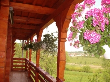 Pensiunea in deal la Ancuta - accommodation in  Maramures Country (23)
