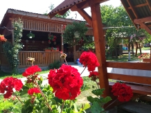Pensiunea in deal la Ancuta - accommodation in  Maramures Country (34)