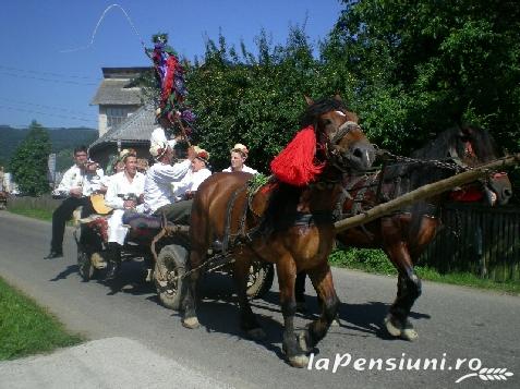 Pensiunea in deal la Ancuta - cazare Tara Maramuresului (Activitati si imprejurimi) Pensiunea in deal la Ancuta - cazare Tara Maramuresului (Activitati si imprejurimi)