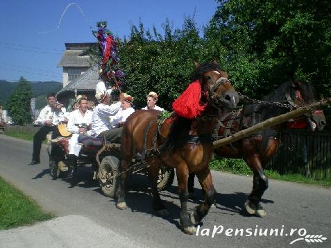 Pensiunea in deal la Ancuta - alloggio in  Tara Maramuresului (Attivit&agrave; e i dintorni)