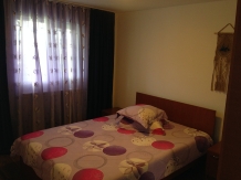 Pensiunea Casa Bujoreni - accommodation in  Olt Valley (11)