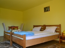 Vila Paula - accommodation in  Sovata - Praid (09)