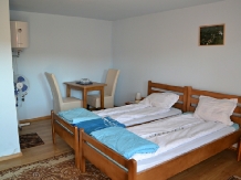 Vila Paula - accommodation in  Sovata - Praid (11)