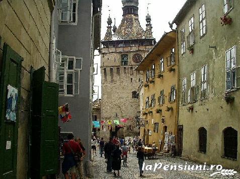 Vila Paula - alloggio in  Sovata - Praid (Attivit&agrave; e i dintorni)