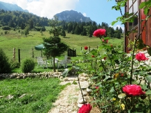 Casa de vacanta Piatra Mica - alloggio in  Rucar - Bran, Piatra Craiului, Rasnov (16)