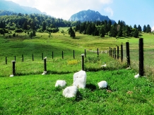 Casa de vacanta Piatra Mica - cazare Rucar - Bran, Piatra Craiului, Rasnov (17)