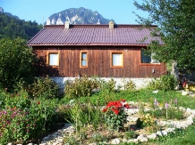 Casa de vacanta Piatra Mica - cazare Rucar - Bran, Piatra Craiului, Rasnov (19)