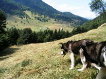 Casa de vacanta Piatra Mica - alloggio in  Rucar - Bran, Piatra Craiului, Rasnov (23)