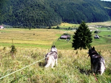 Casa de vacanta Piatra Mica - cazare Rucar - Bran, Piatra Craiului, Rasnov (26)