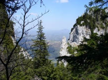 Casa de vacanta Piatra Mica - cazare Rucar - Bran, Piatra Craiului, Rasnov (29)