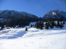 Casa de vacanta Piatra Mica - alloggio in  Rucar - Bran, Piatra Craiului, Rasnov (37)