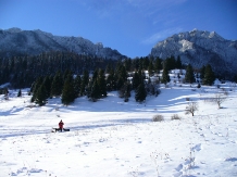 Casa de vacanta Piatra Mica - alloggio in  Rucar - Bran, Piatra Craiului, Rasnov (39)