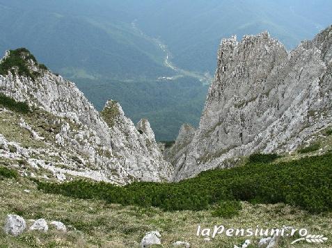 Casa de vacanta Piatra Mica - accommodation in  Rucar - Bran, Piatra Craiului, Rasnov (Surrounding)