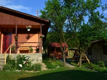 Cabanele Valea Ponicovei - accommodation in  Danube Boilers and Gorge, Clisura Dunarii (03)